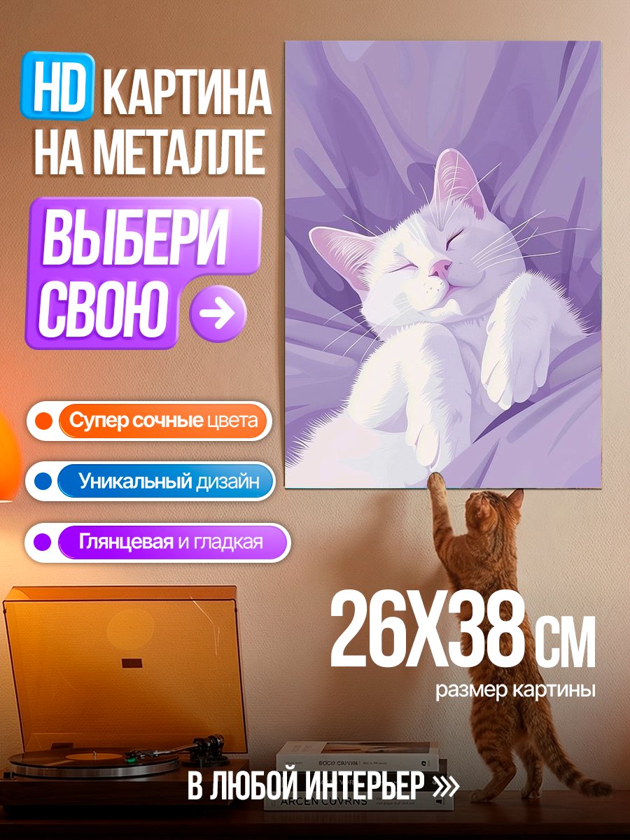 Картина на металле Спящий белый кот