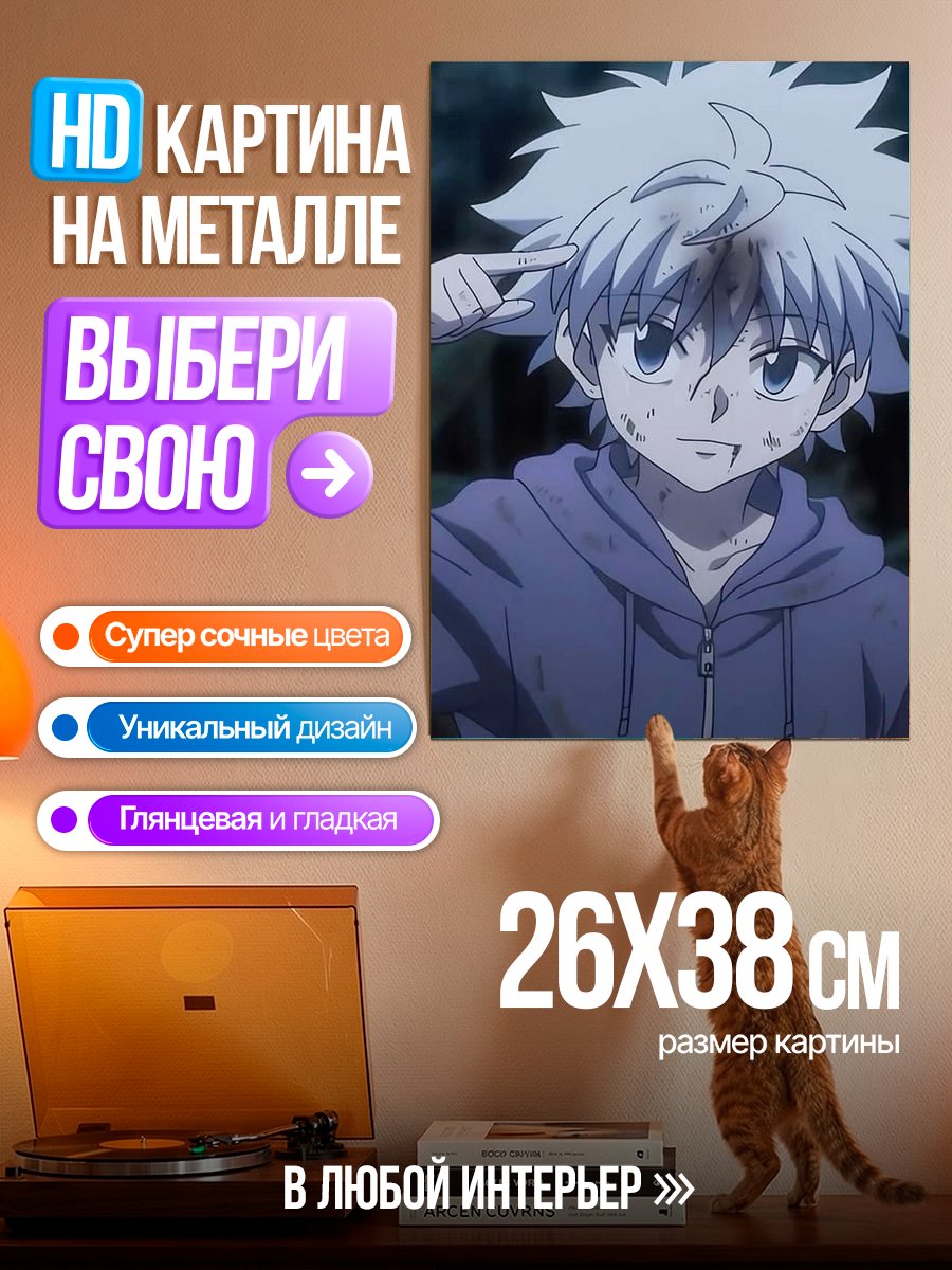 Картина на металле Киллуа Золдик