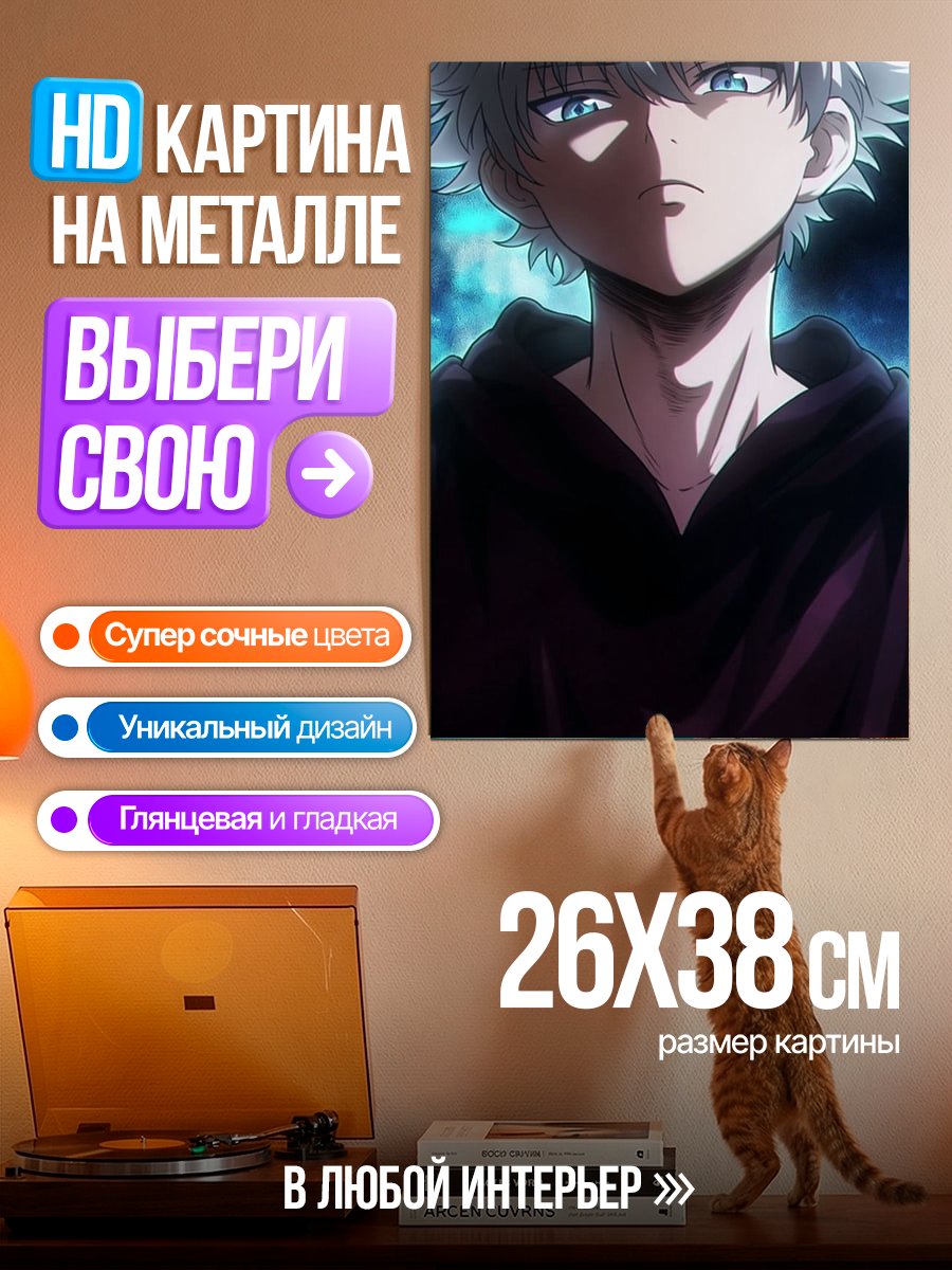 Картина на металле Киллуа Золдик