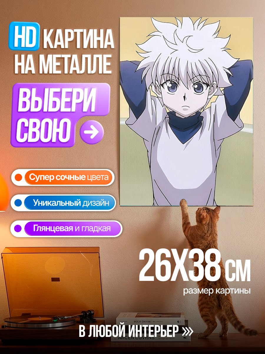 Картина на металле Киллуа Золдик арт