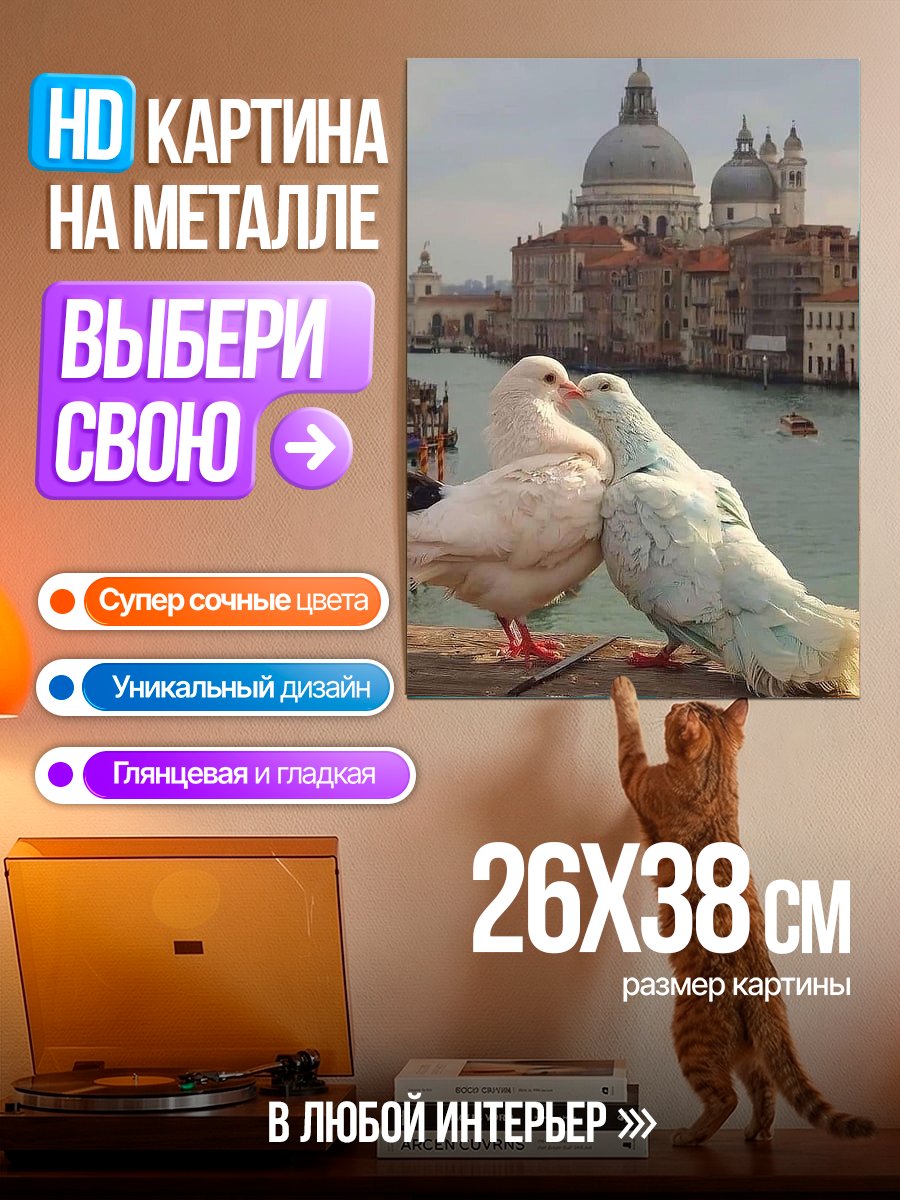 Картина на металле Голуби в Венеции