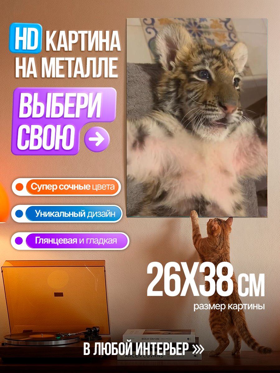 Картина на металле Тигренок лежит