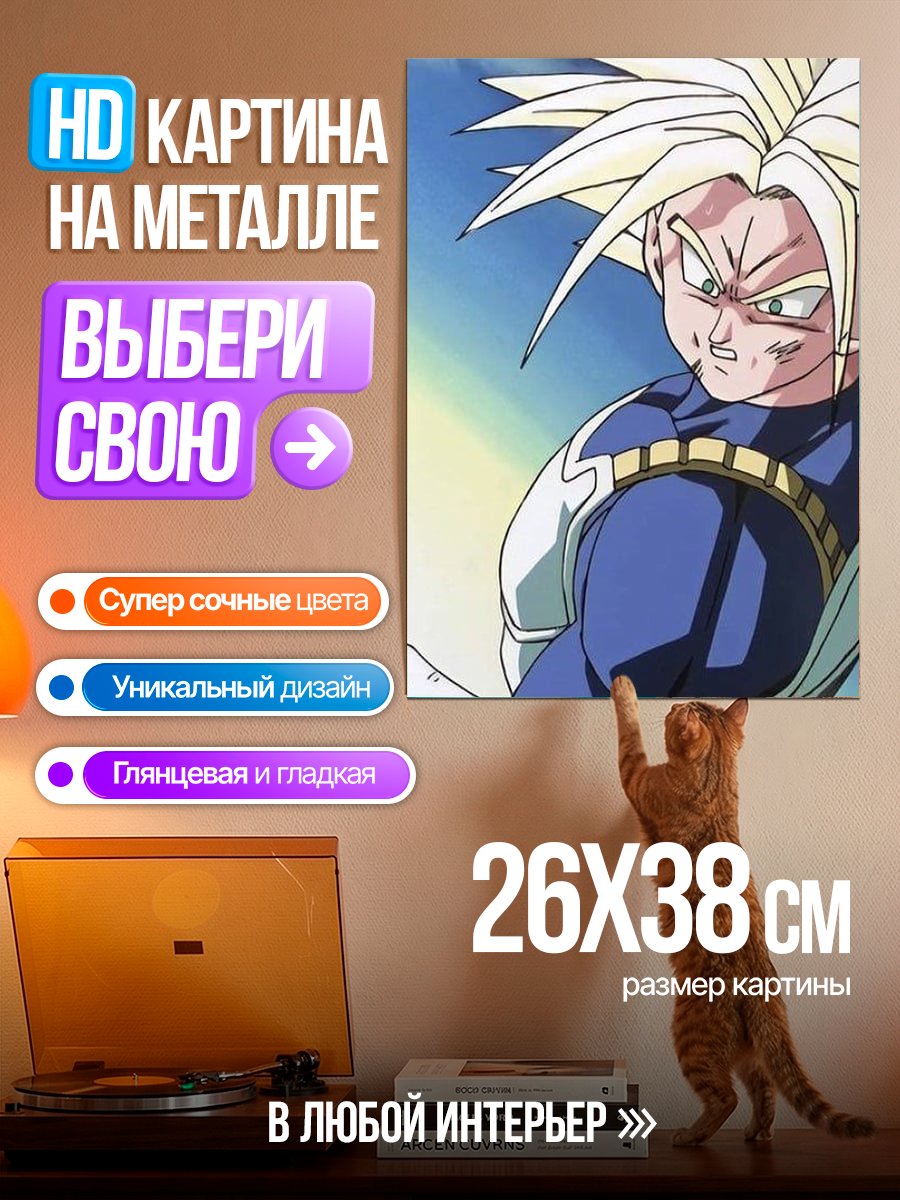Картина на металле Персонаж Транкс