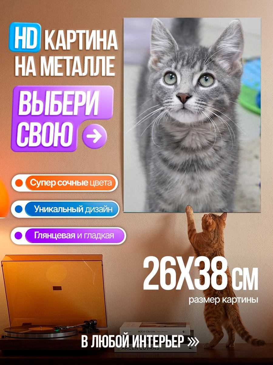 Картина на металле Серый полосатый котенок