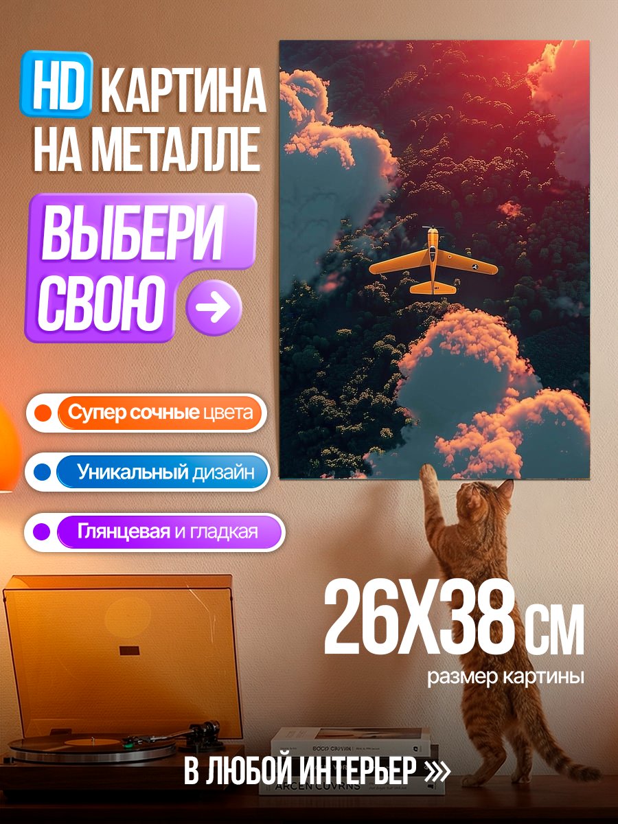 Картина на металле Самолет в облаках