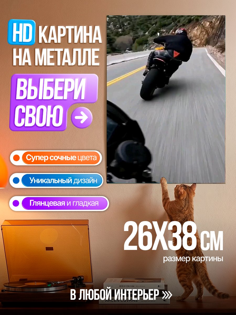 Картина на металле Мотоциклист на дороге