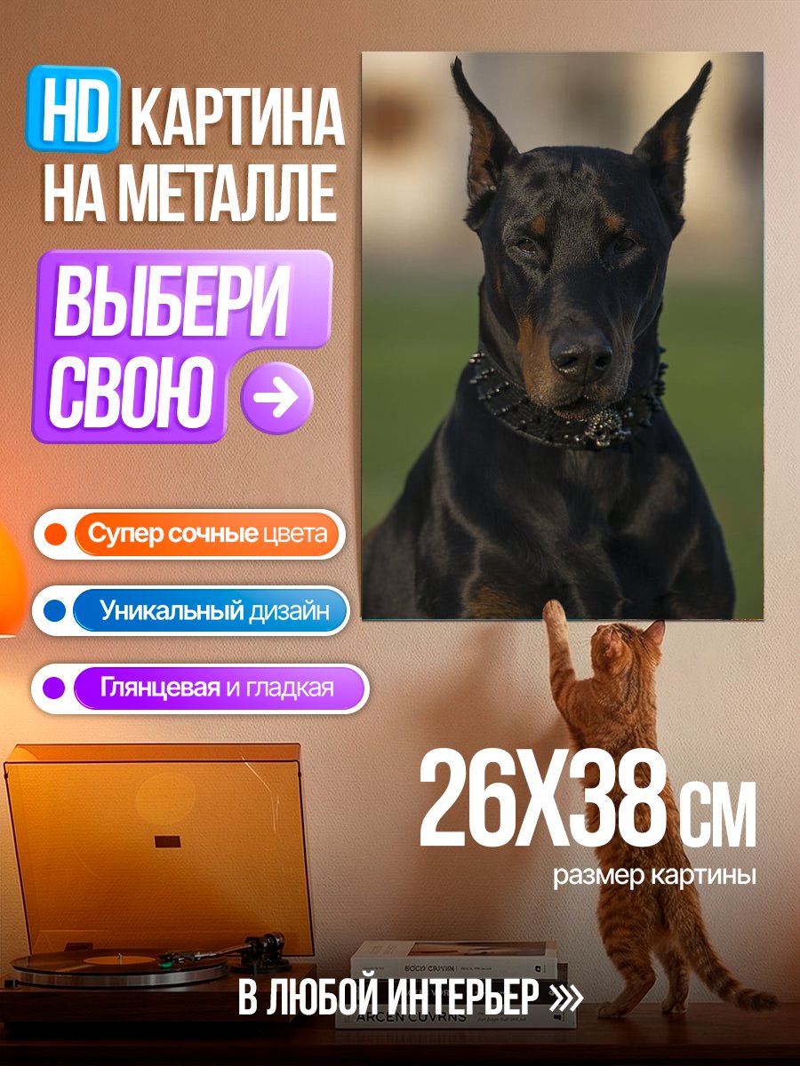 Картина на металле Портрет добермана