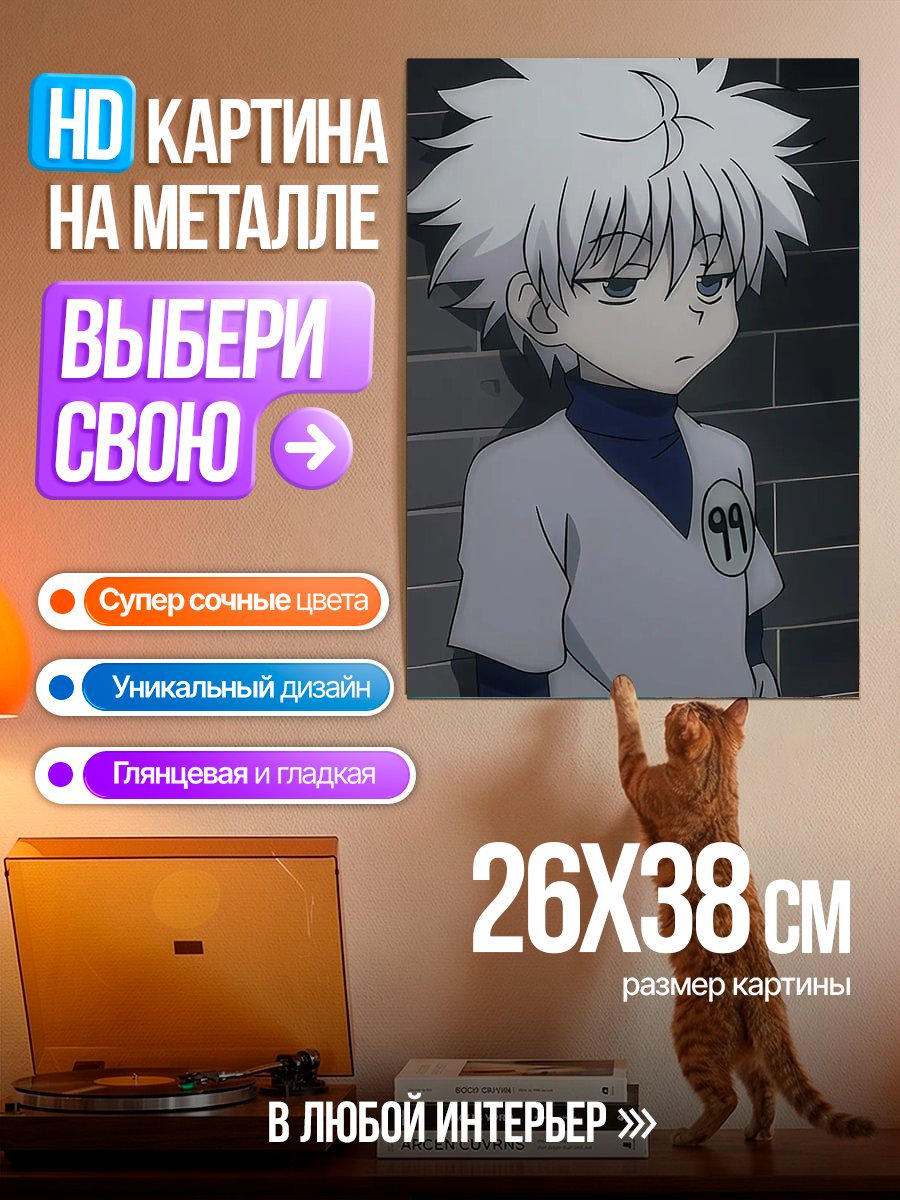 Картина на металле Киллуа Золдик
