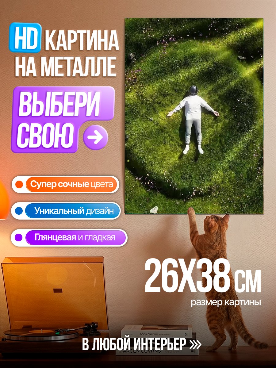 Картина на металле Человек на траве