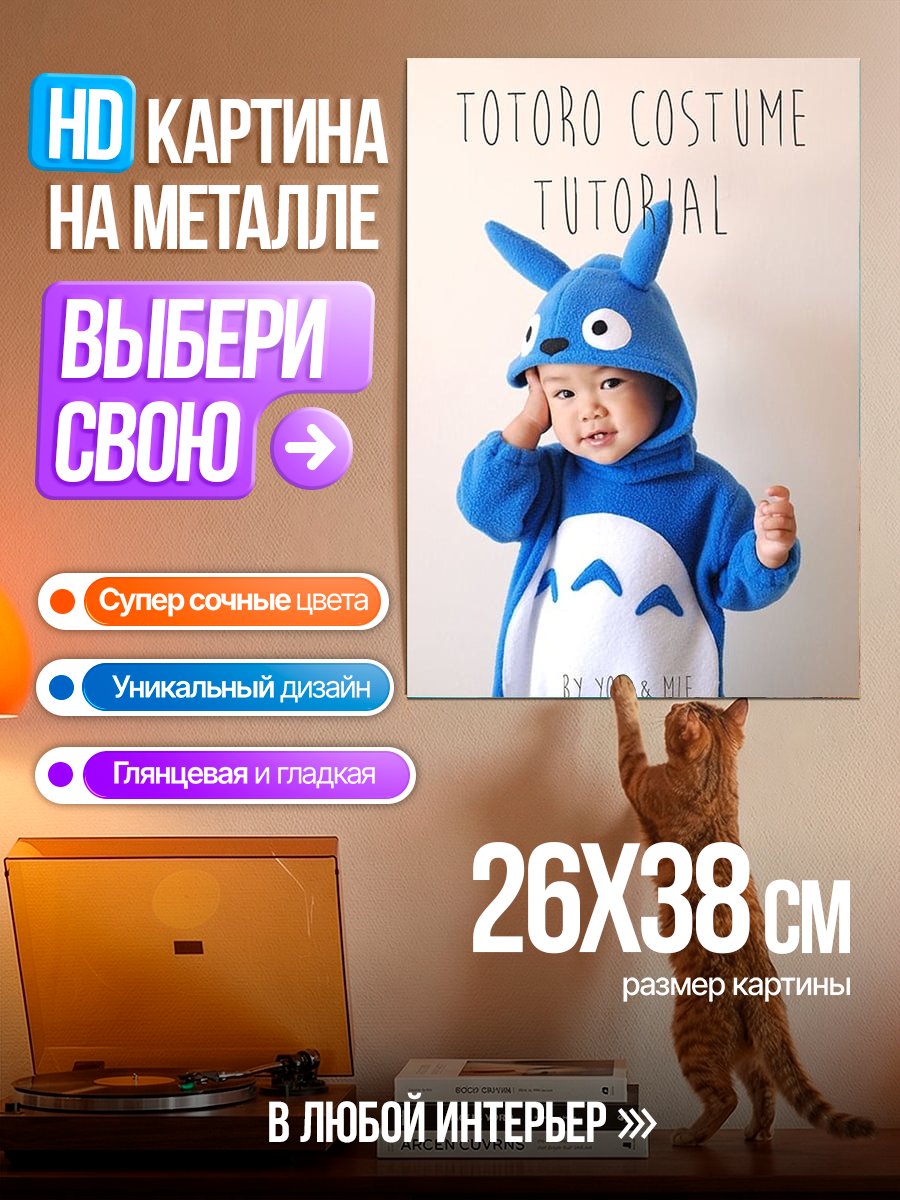 Картина на металле Малыш в костюме Тоторо