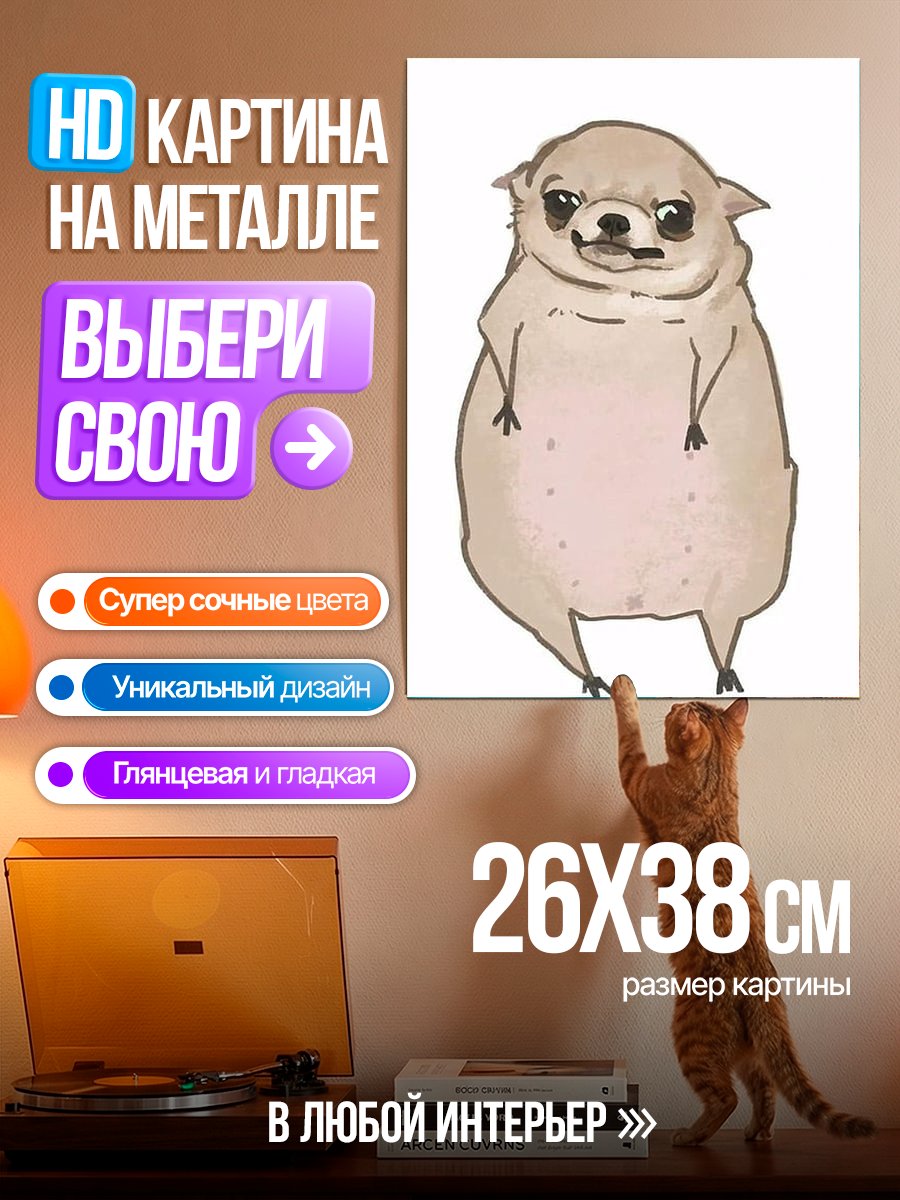 Картина на металле Толстый чихуахуа