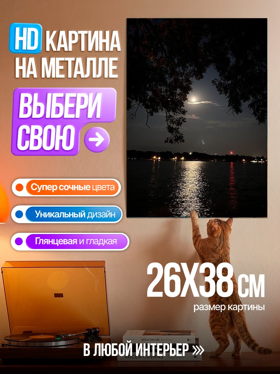 Картина на металле Лунная ночь у воды