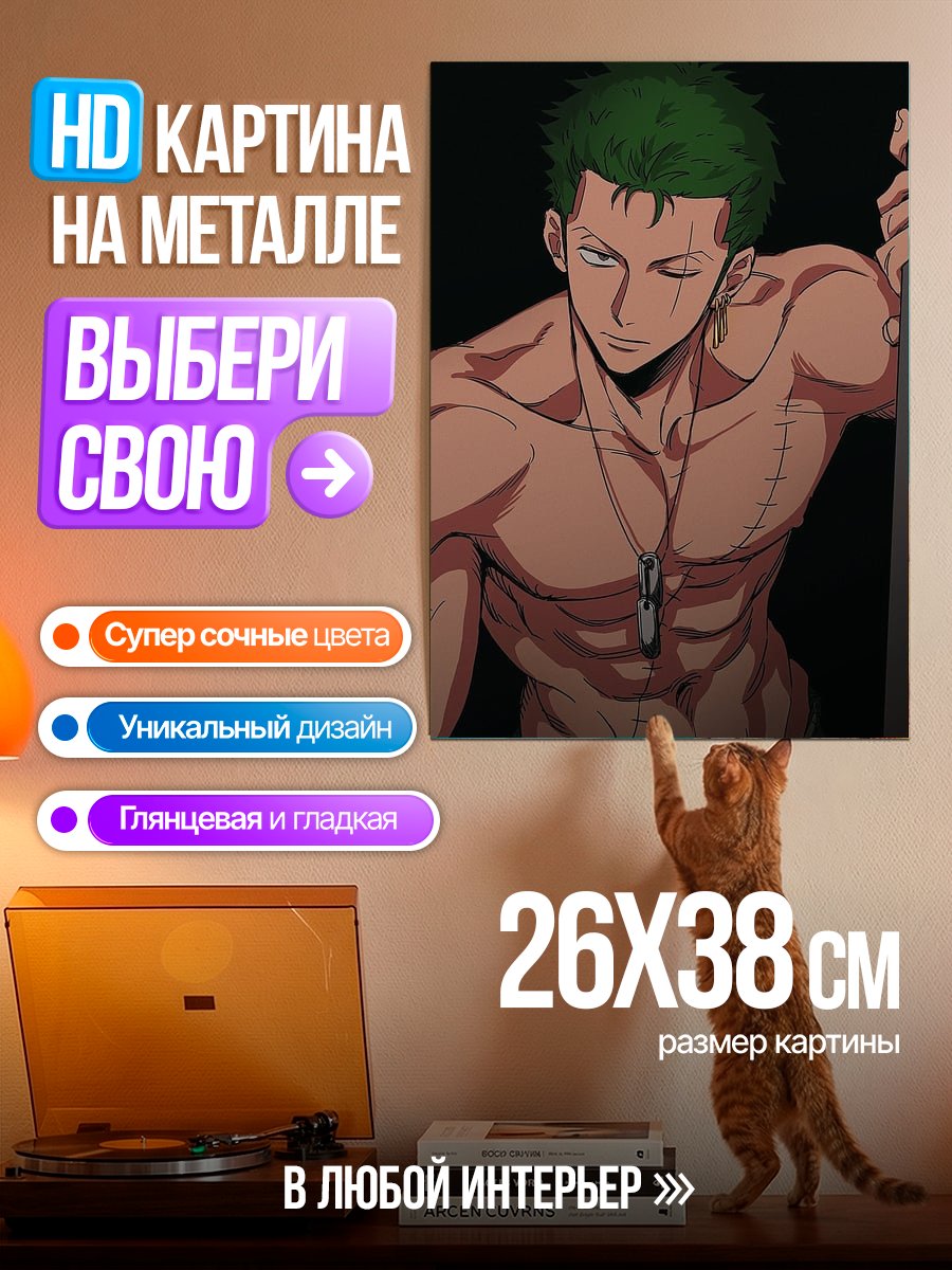 Картина на металле Зоро из Ван Пис
