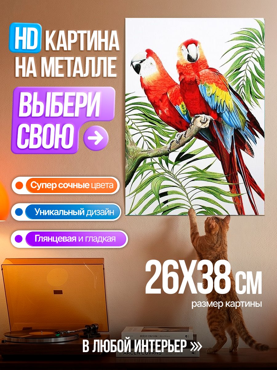 Картина на металле Два попугая
