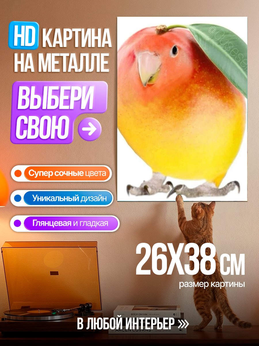 Картина на металле Манго птица