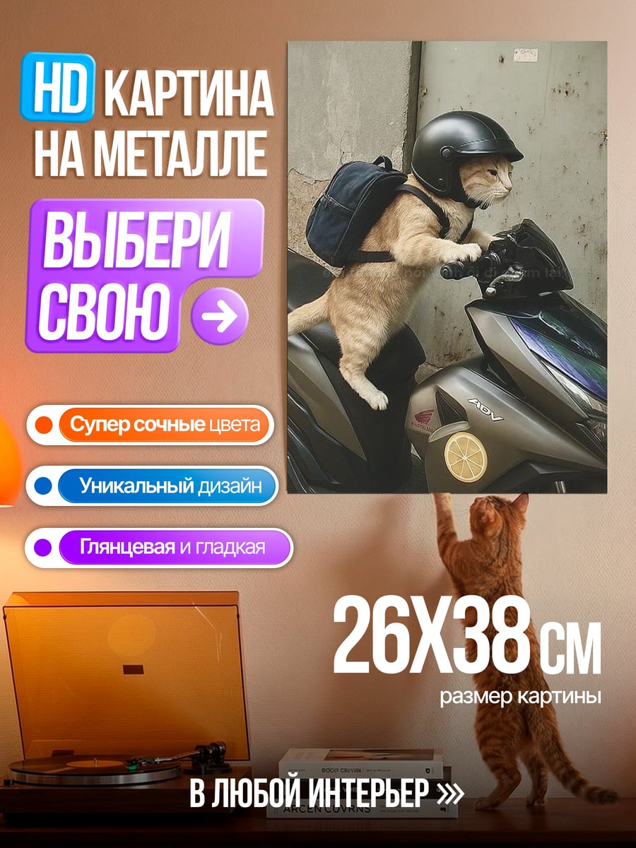 Картина на металле Кот на скутере