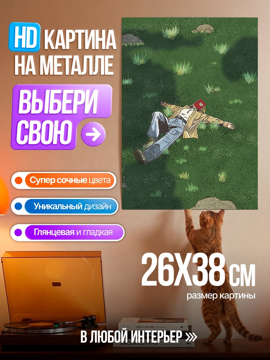 Картина на металле Человек лежит на траве
