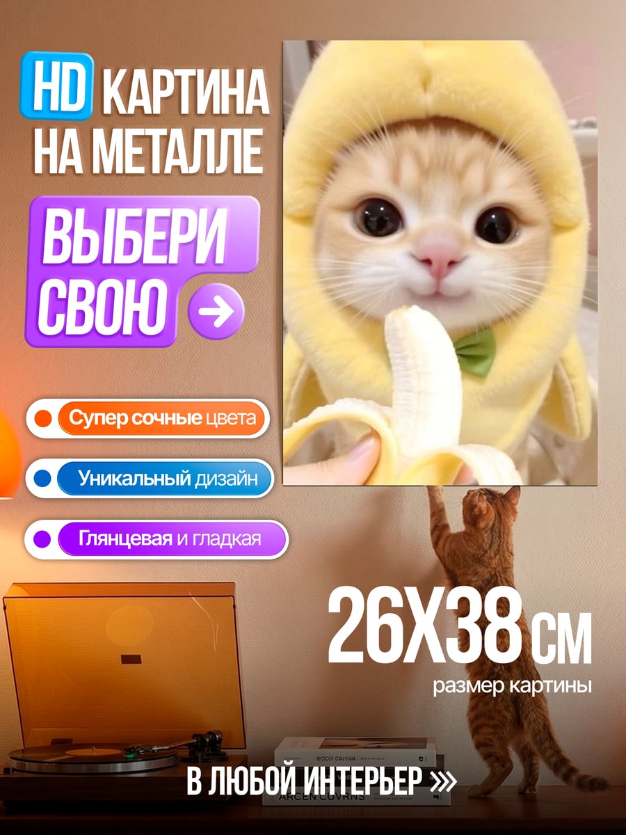 Картина на металле Кот в костюме банана