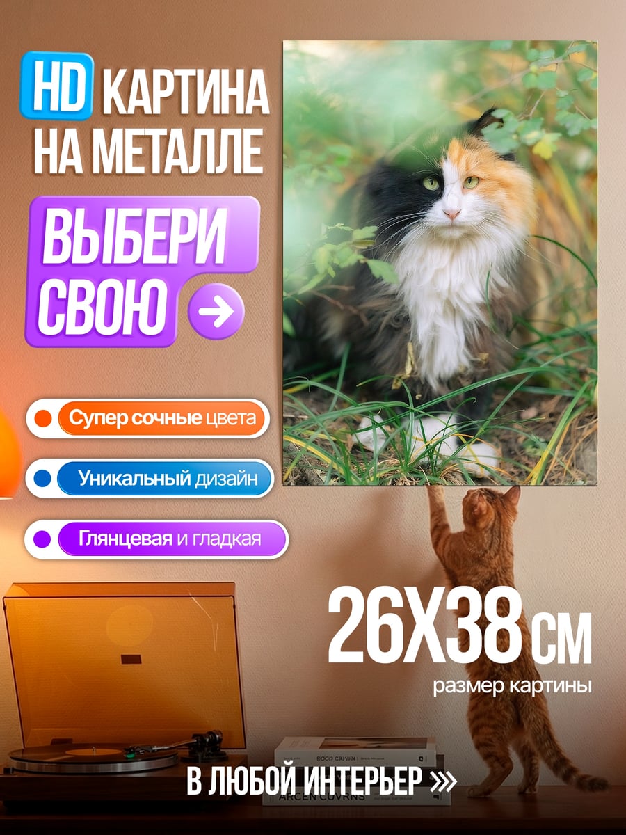 Картина на металле Кот в траве