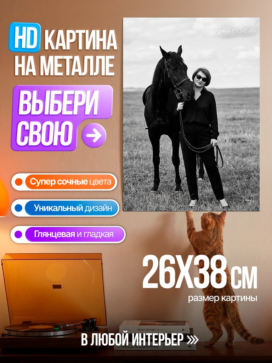 Картина на металле Девушка с черной лошадью
