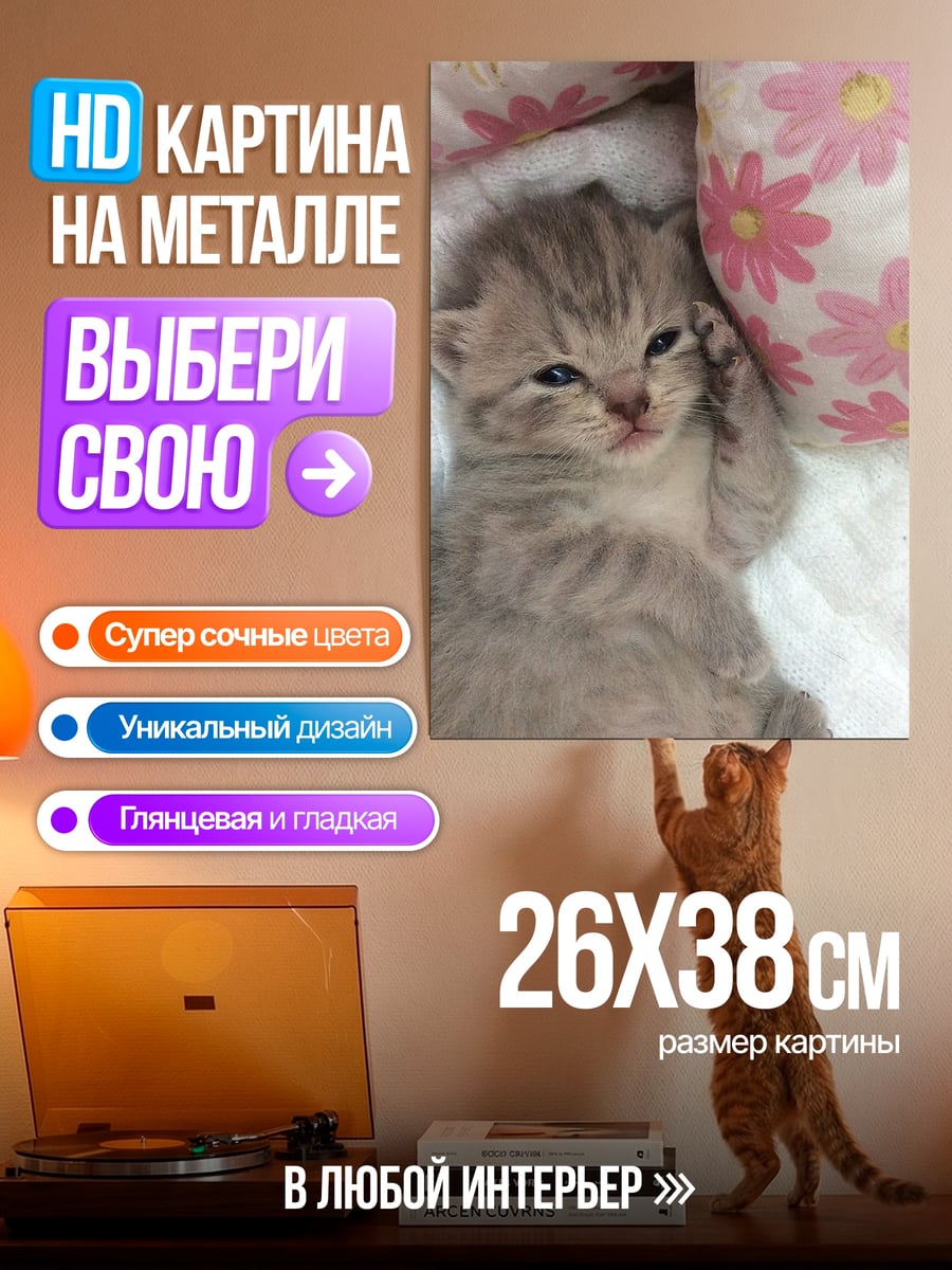 Картина на металле Котёнок на подушке
