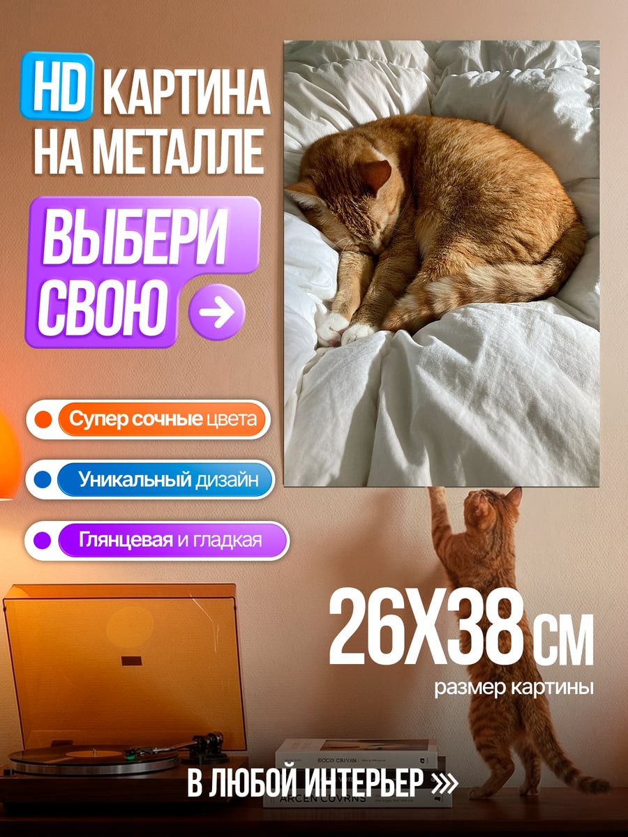 Картина на металле Спящий рыжий кот