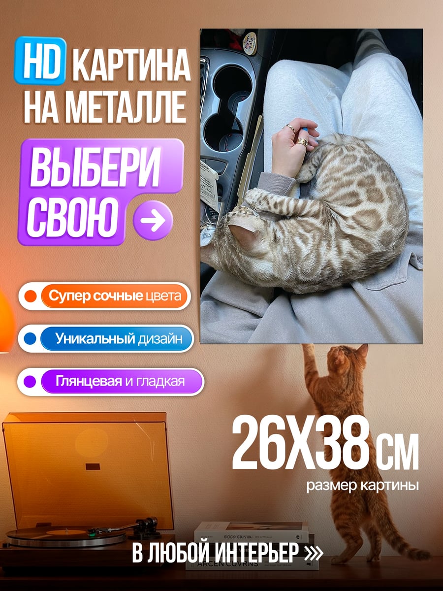 Картина на металле Кот на коленях