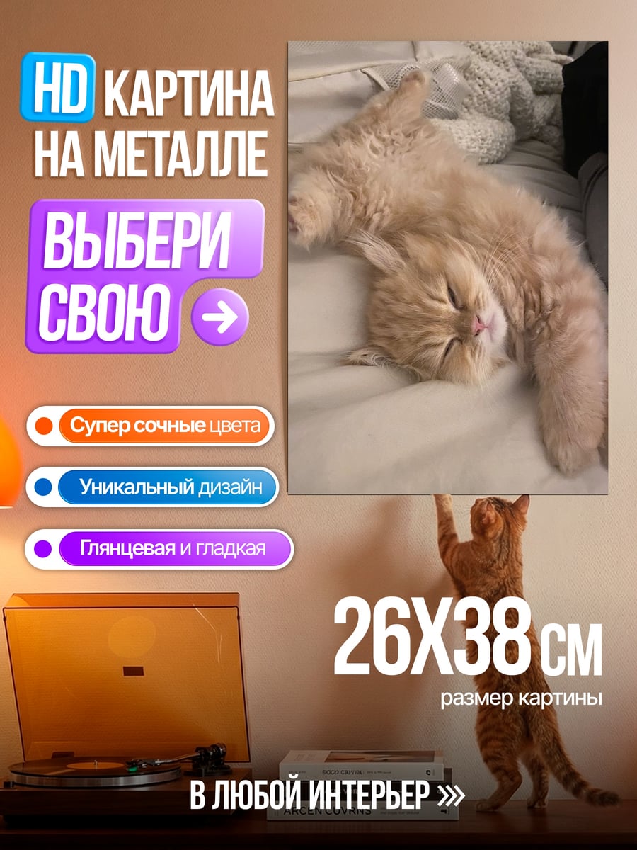 Картина на металле Спящий рыжий кот