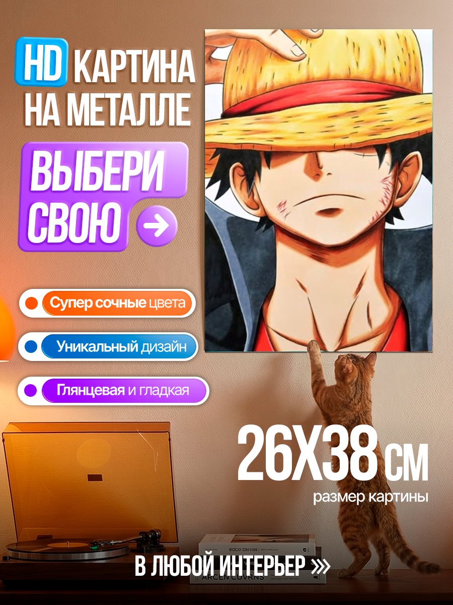 Картина на металле Портрет Луффи