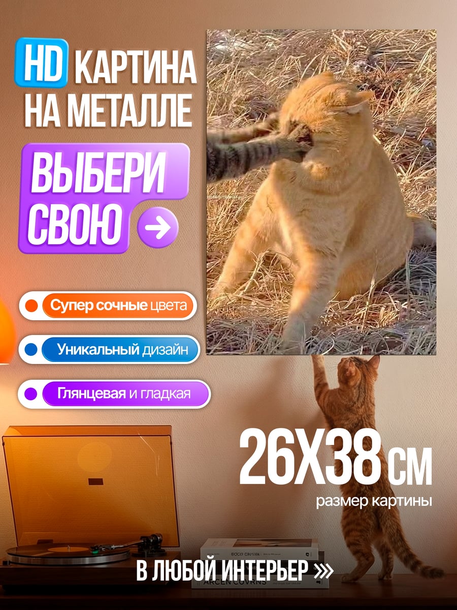 Картина на металле Кот играет с котом