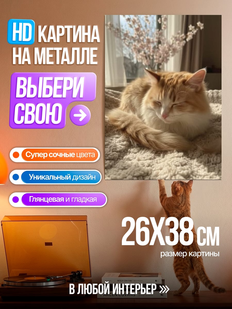 Картина на металле Рыжий кот спит
