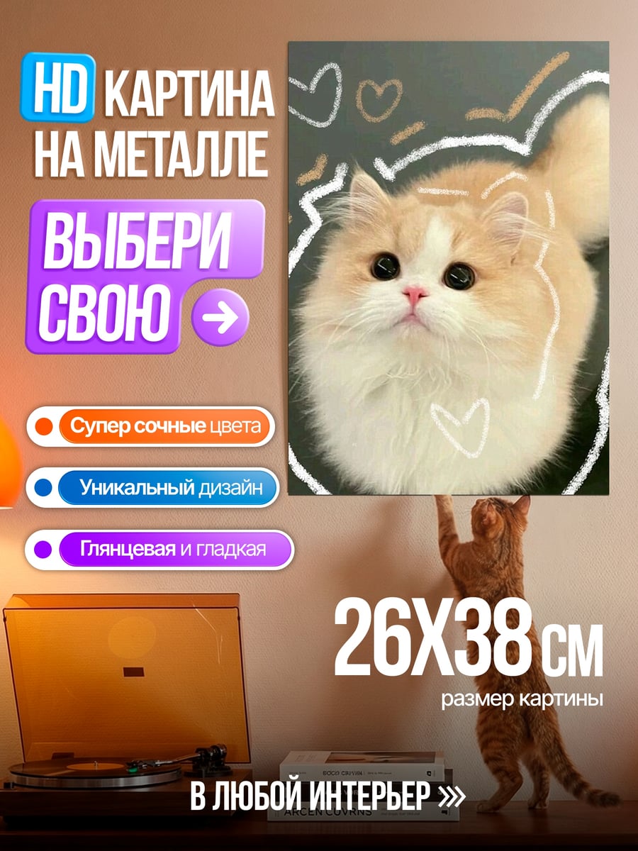 Картина на металле Пушистый котёнок в облаках