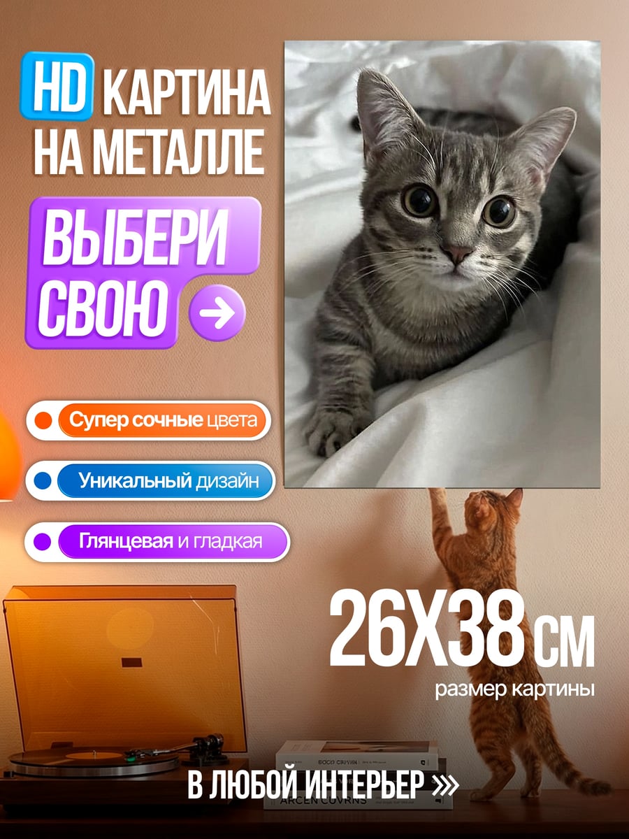 Картина на металле Котёнок на подушке