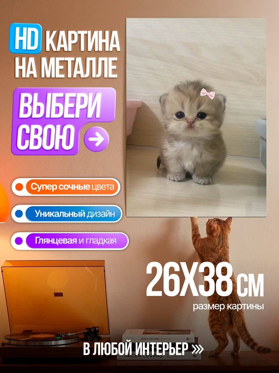 Картина на металле Котёнок с бантом