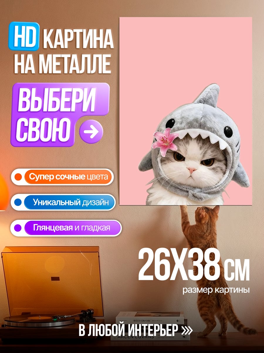 Картина на металле Кот акула милашка
