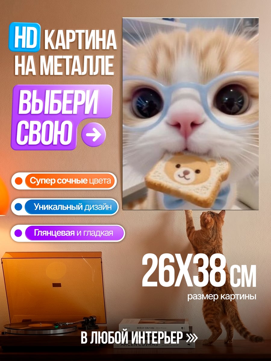 Картина на металле Кот в очках