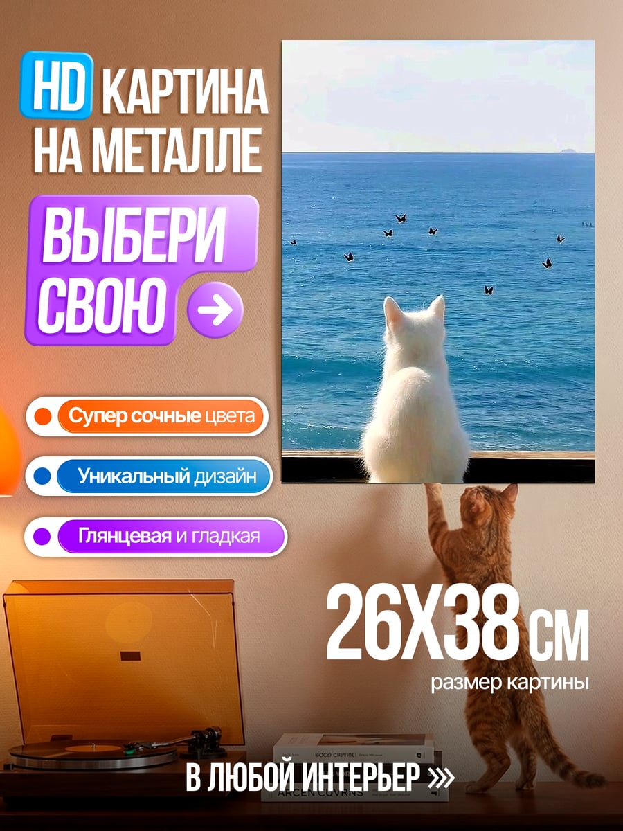 Картина на металле Белый кот у моря