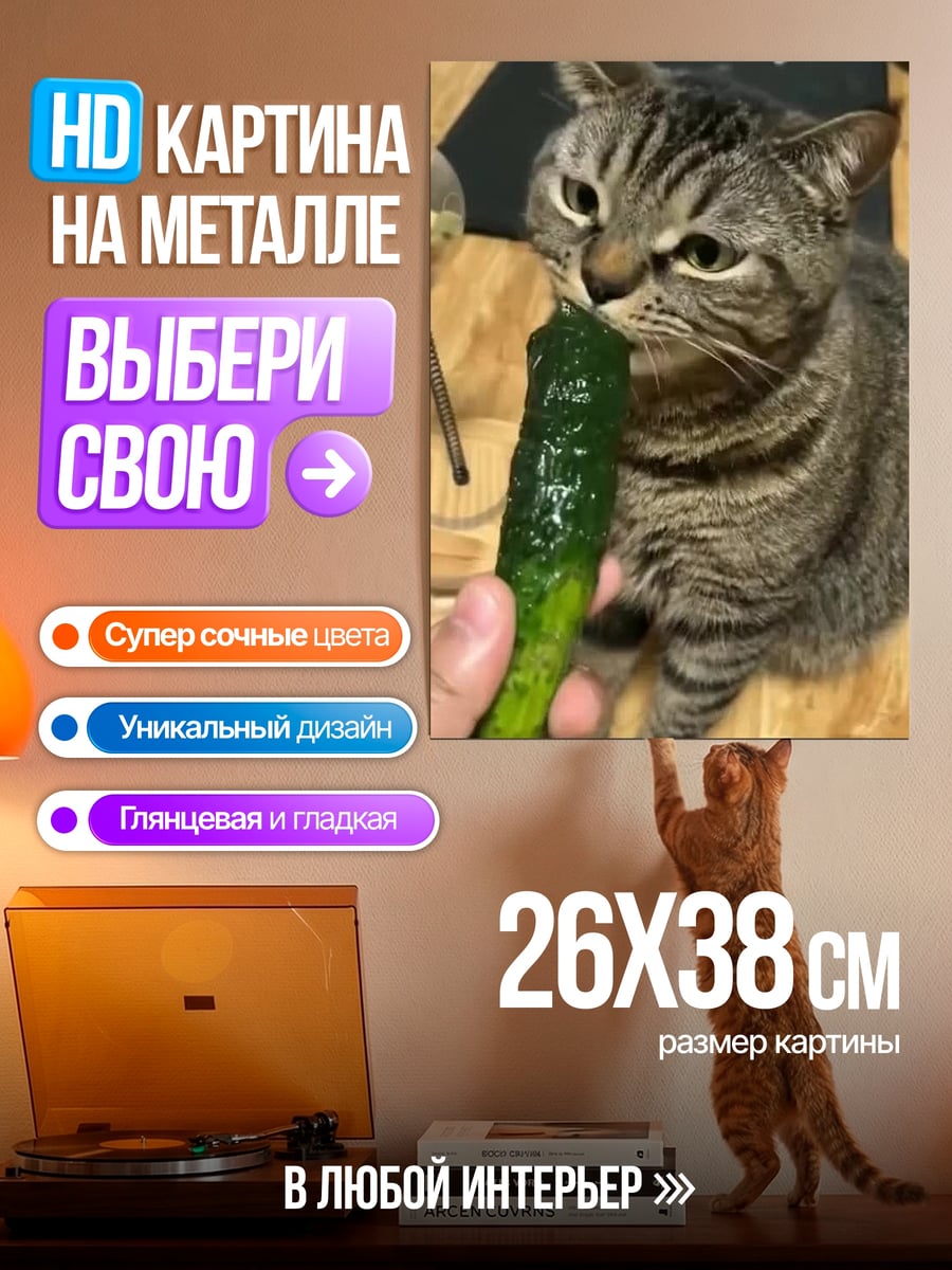 Картина на металле Кот с огурцом