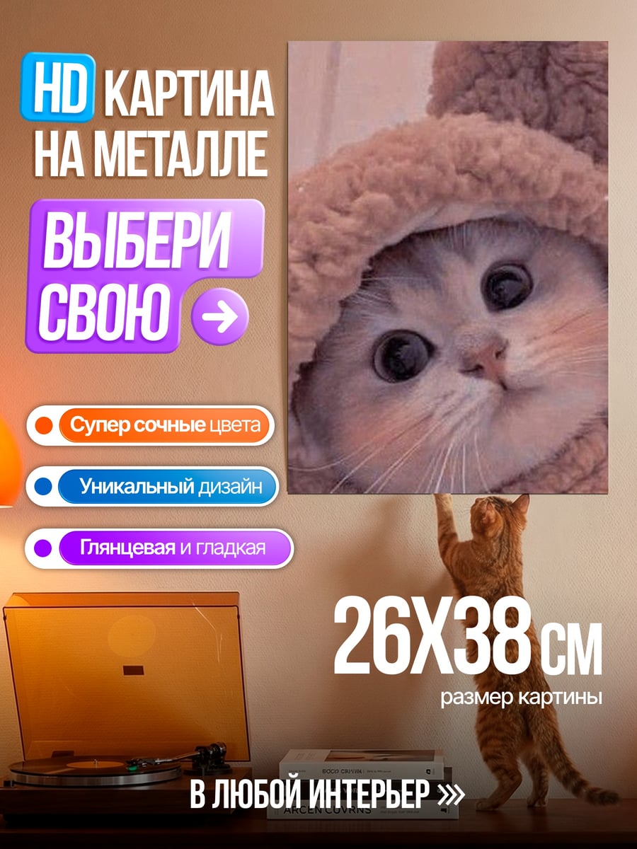 Картина на металле котенок в шапке