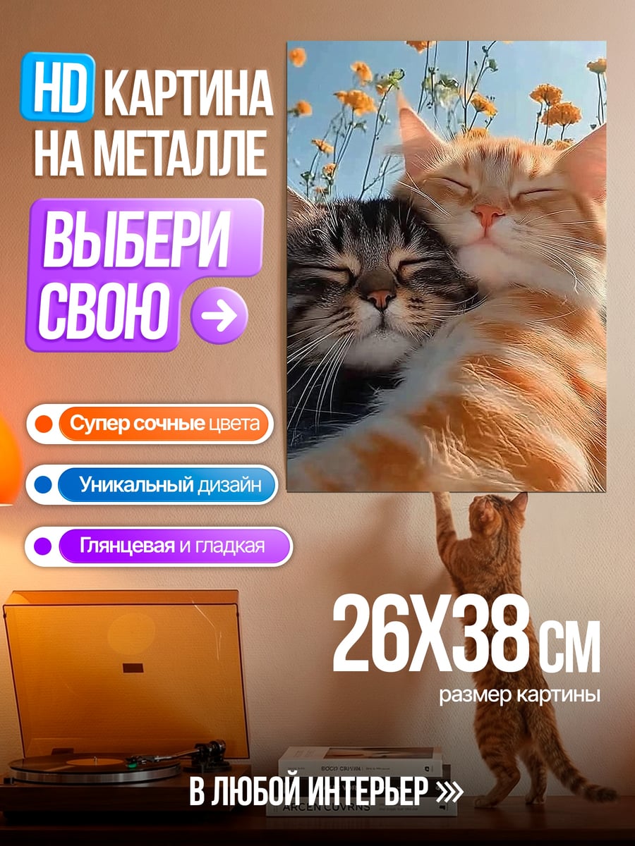 Картина на металле Два кота в объятиях