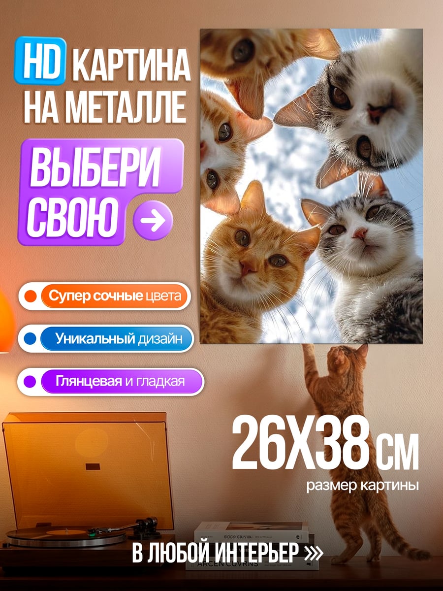 Картина на металле Пять любопытных котят