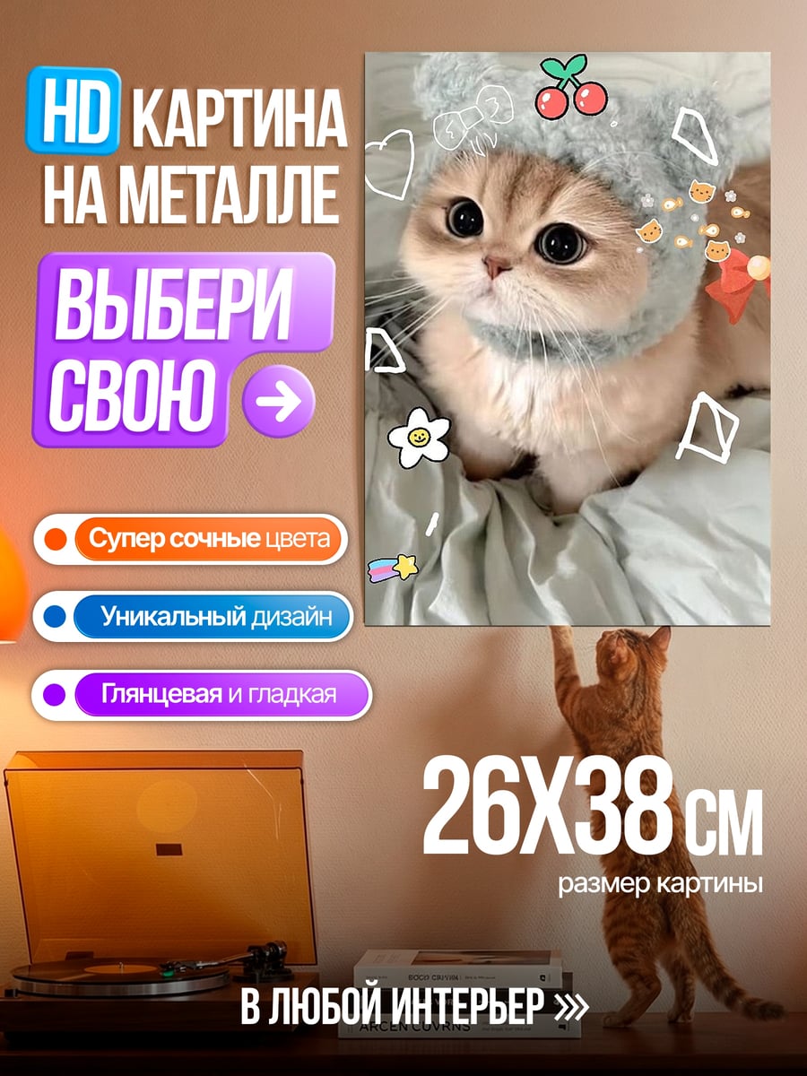 Картина на металле Котёнок в шапке