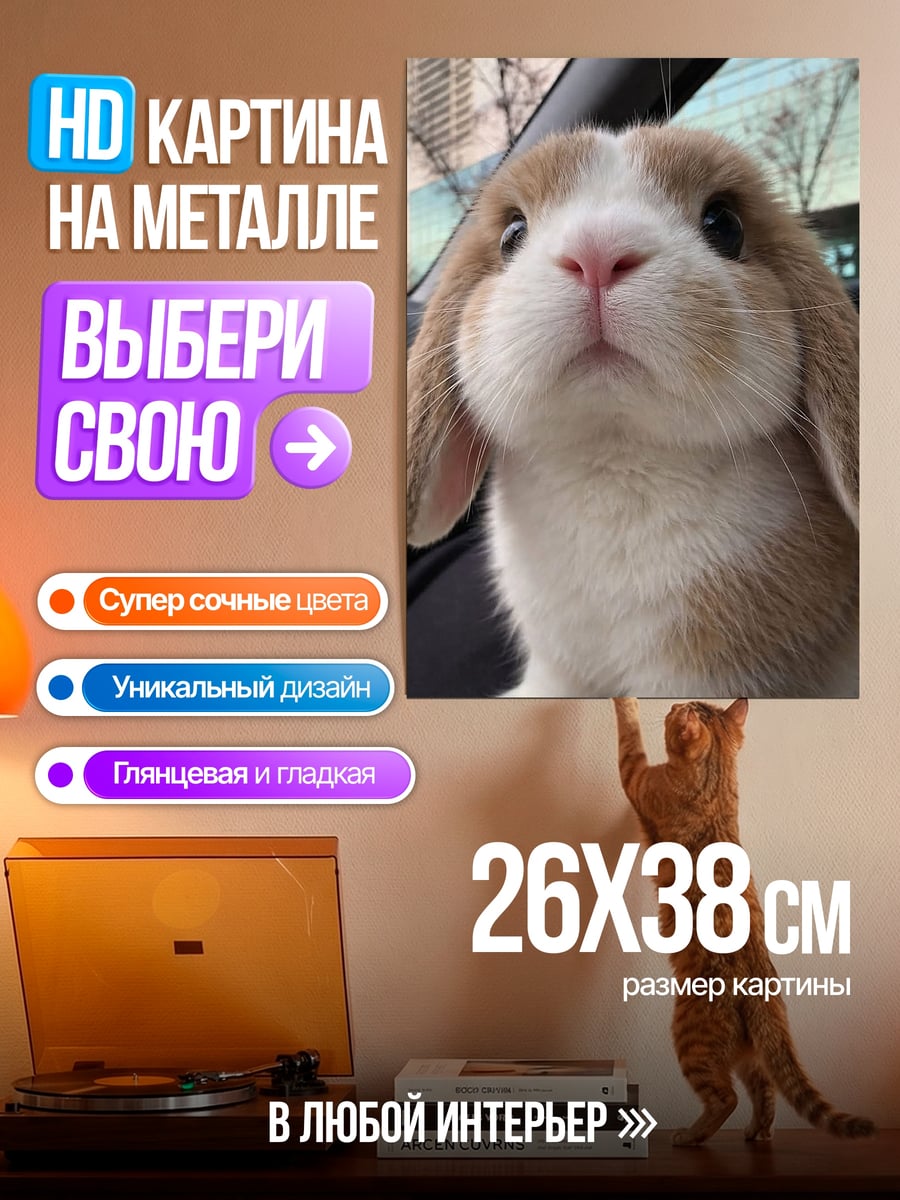 Картина на металле Забавный кролик в машине