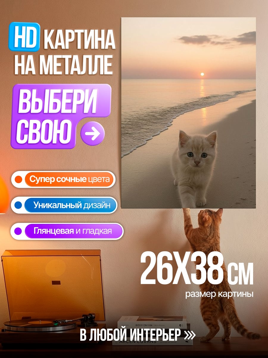 Картина на металле Котёнок на пляже