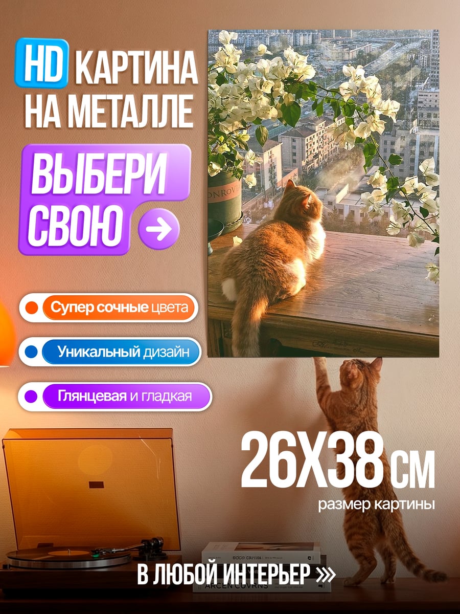 Картина на металле Кот на подоконнике