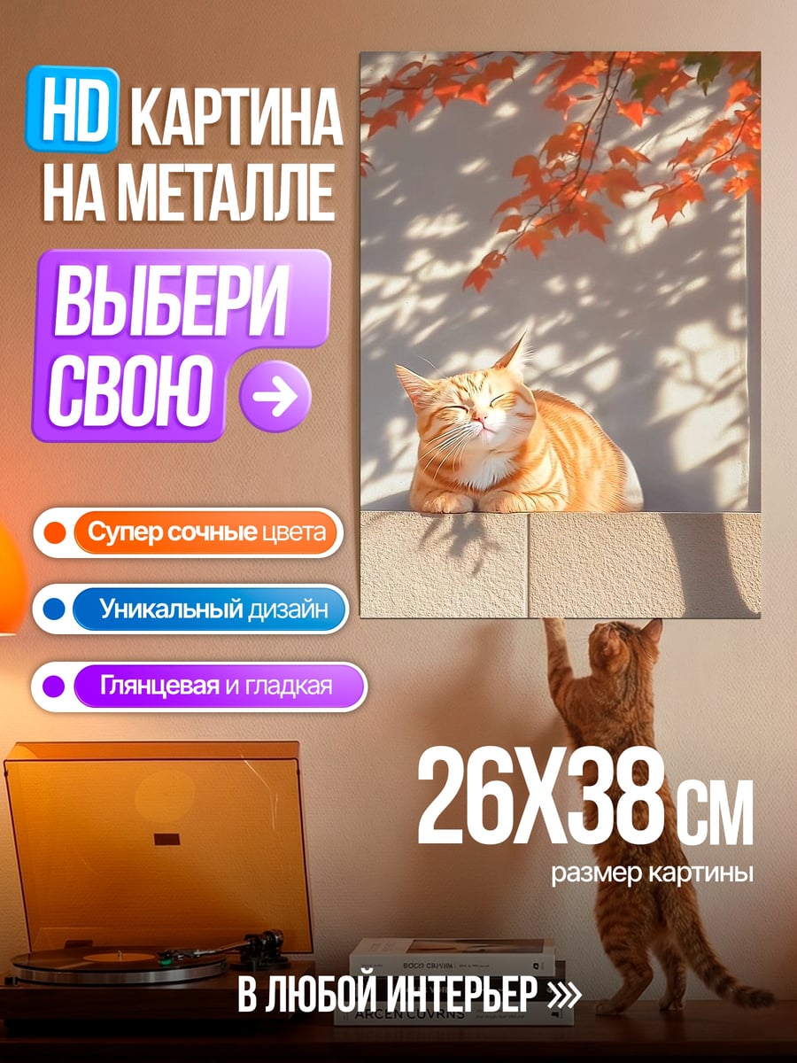 Картина на металле Рыжий кот на солнце