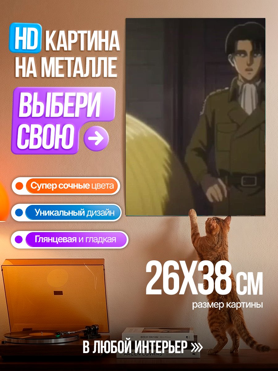 Картина на металле Капитан Леви