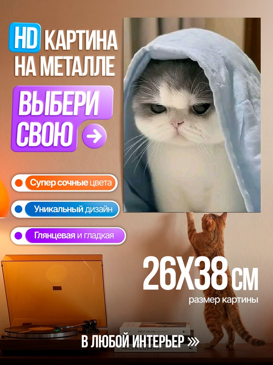 Картина на металле Угрюмый кот под пледом