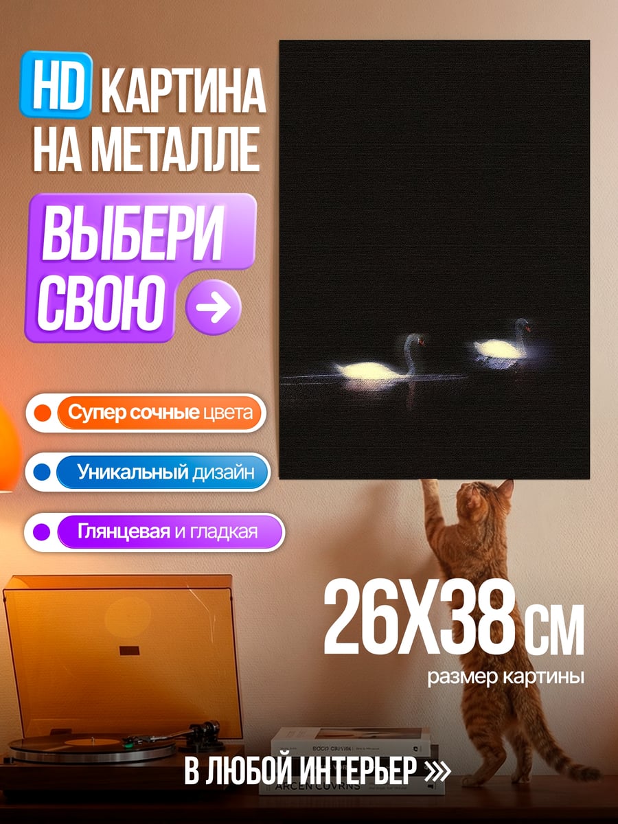 Картина на металле Два лебедя в темноте