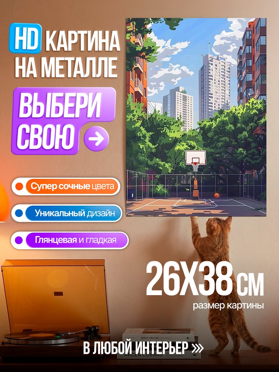 Картина на металле Баскетбольная площадка